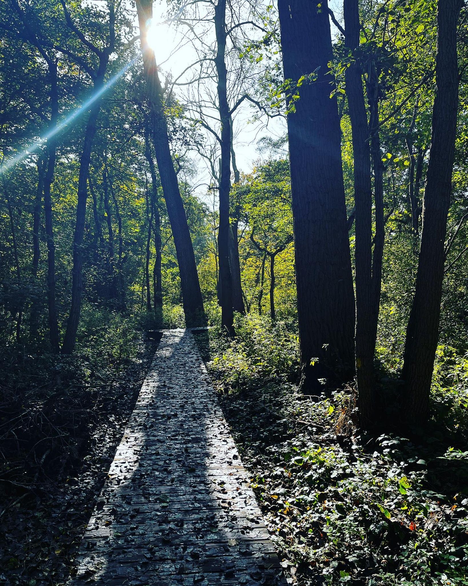 Lessen leren uit transformeren